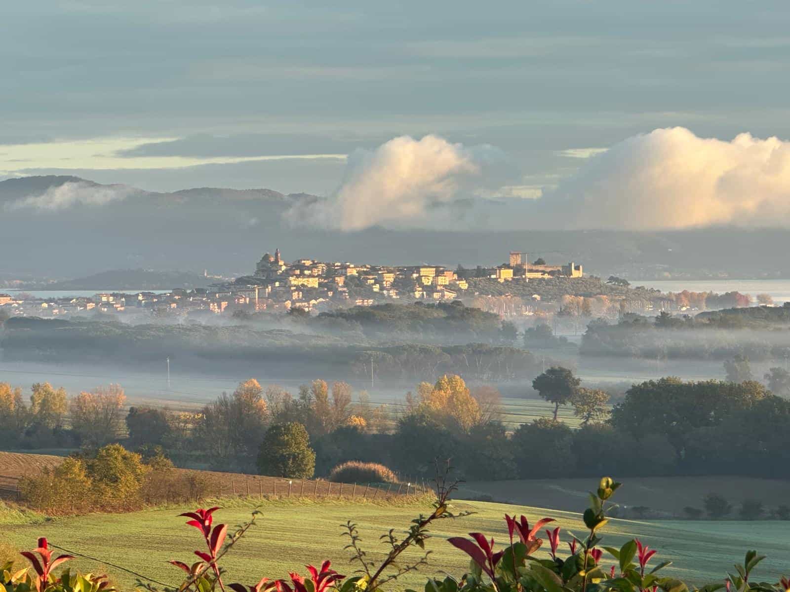 La nostra campagna del lago trasimeno