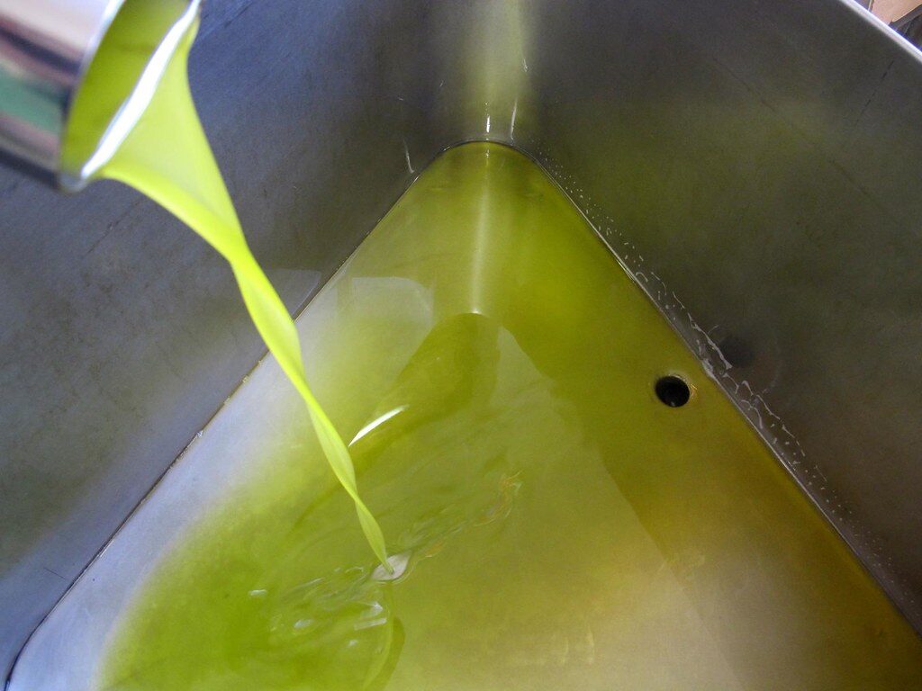 Cosa vuol dire olio extravergine di oliva?